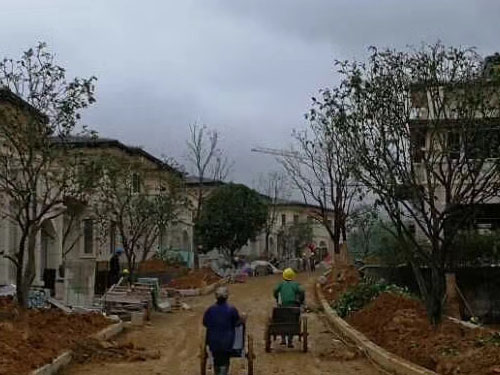 園林綠化工程施工，園林綠化養(yǎng)護(hù)，別墅庭院綠化