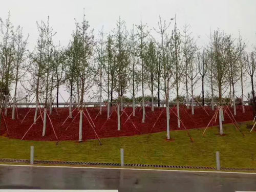 園林綠化工程施工，園林綠化養護，別墅庭院綠化