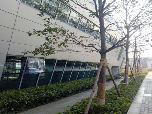 園林綠化工程施工，園林綠化養(yǎng)護，別墅庭院綠化