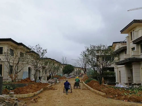 園林綠化工程施工，園林綠化養(yǎng)護，別墅庭院綠化