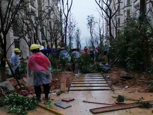 園林綠化工程施工，園林綠化養(yǎng)護，別墅庭院綠化