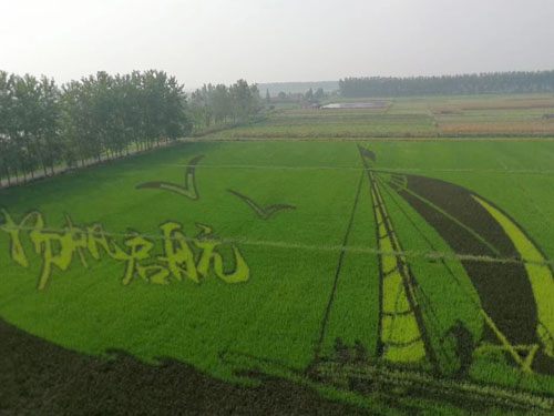 園林綠化工程施工，園林綠化養(yǎng)護(hù)，別墅庭院綠化