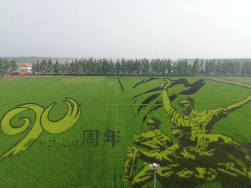 園林綠化工程施工，園林綠化養(yǎng)護(hù)，別墅庭院綠化