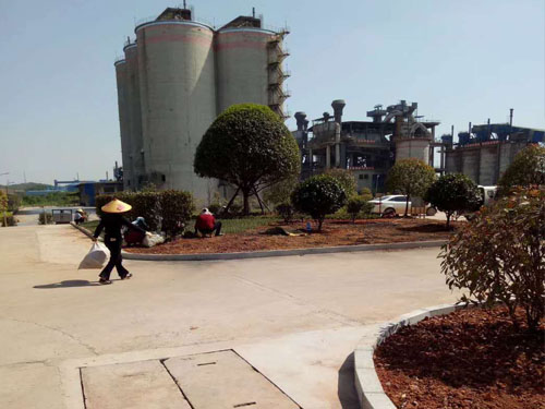 園林綠化工程施工，園林綠化養(yǎng)護(hù)，別墅庭院綠化